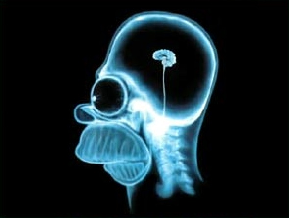 Source:https://www.flickr.com/photos/37519315@N05/4763347199